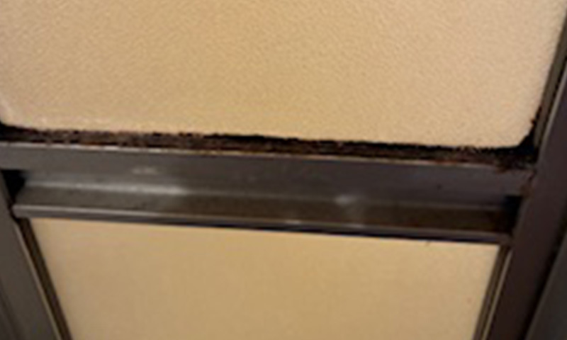 浴室ドア脱衣所側Before